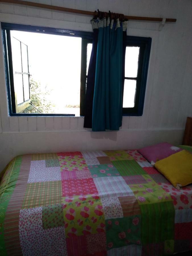 Hostal Buena Vista 圣安东尼奥 外观 照片